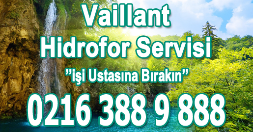 Pendik Vaillant Hidrofor Servisi