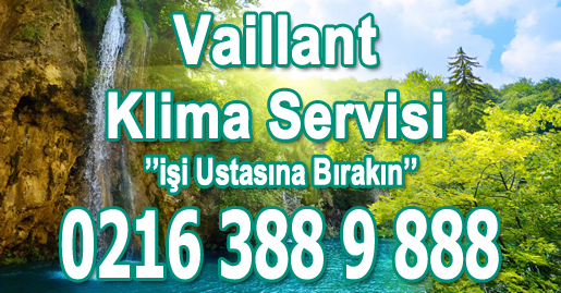 Pendik Vaillant Klima Servisi