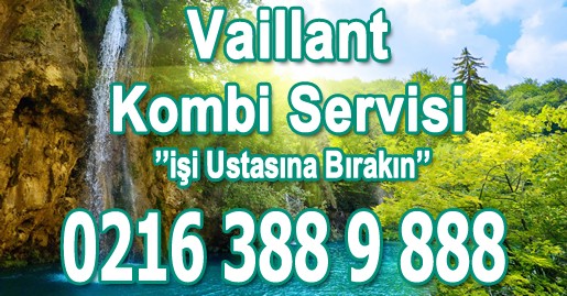 Pendik Vaillant Kombi Servisi