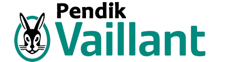 Pendik Vaillant Servisi - İşi Uzmanına Bırakın