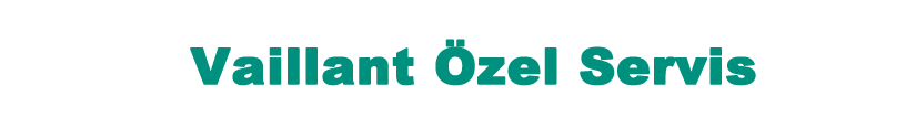Özel Pendik Vaillant Servisi