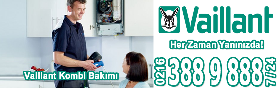 Pendik Vaillant Kombi Servisi