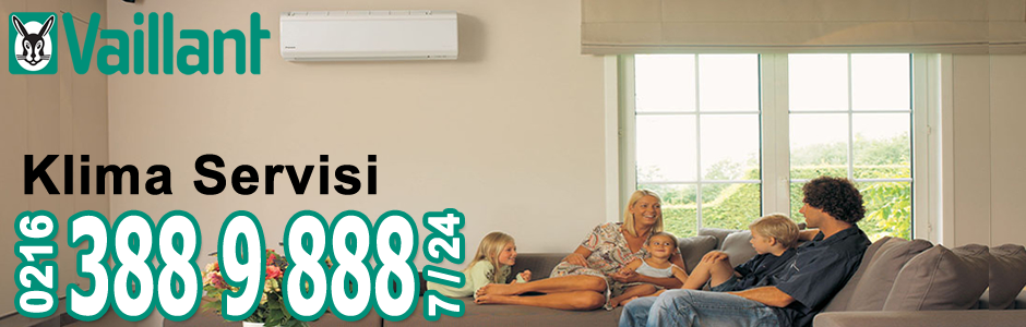 Pendik Vaillant Klima Servisi
