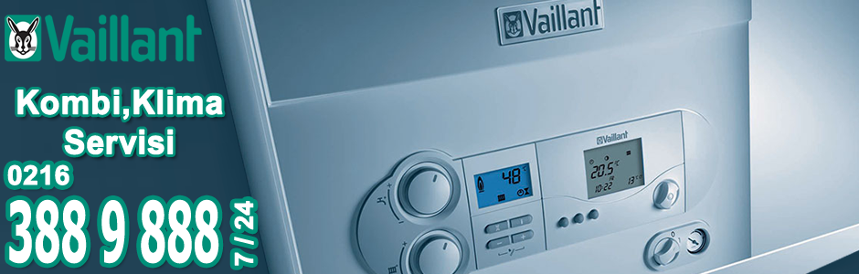 Pendik Vaillant Hidrofor Servisi