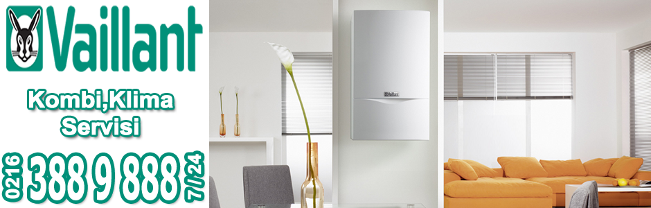 Pendik Vaillant Kombi Servisi